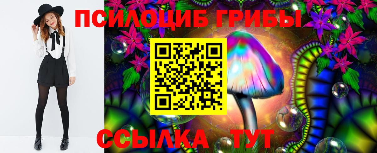 Псилоцибиновые грибы Psilocybine cubensis  Галлюциногенные грибы мухоморы  Вязьма  Вход с VPN 